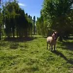 Agriturismo Dei Ciliegi *