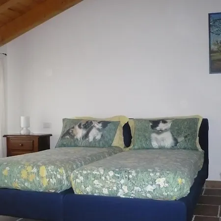 Agriturismo Dei Ciliegi Zero Branco