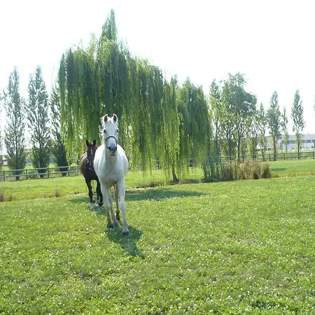 Agriturismo Dei Ciliegi Bauernhof