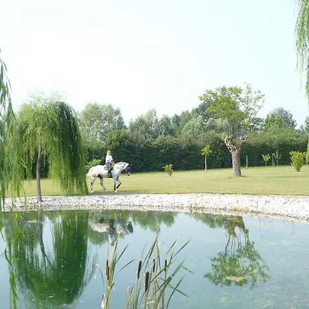 Agriturismo Dei Ciliegi Zero Branco