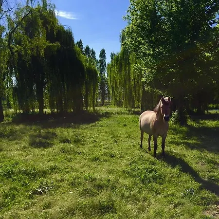 Agriturismo Dei Ciliegi *